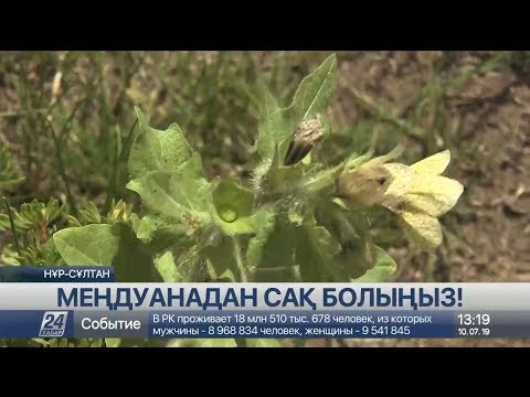 Видео: Мамандар меңдуанадан сақ болуға шақырады