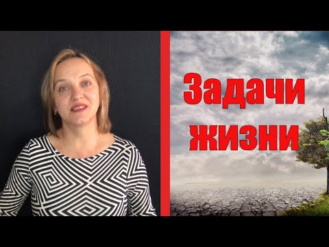 Видео: 51. НЕТ ОТВЕТА.
