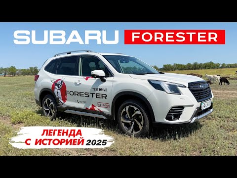 Видео: Кайфанули от ЯПОНЦА! СУБАРУ FORESTER. Мягкий и КАЧЕСТВЕННЫЙ. Обзор и ТЕСТ от PM10