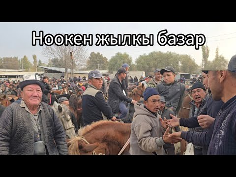 Видео: Жылкы базар 29 октября 2025 #horse #атбазар #жылкыбазар #rek #лошадки #арабскиелошади #horsemanship 