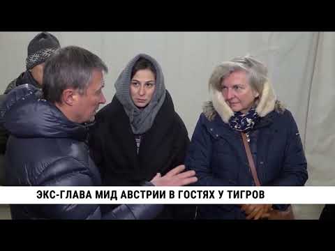 Видео: Экс-глава МИД Австрии в гостях у тигров