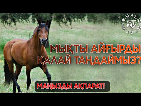 Видео: ҮЙIPГЕ ТҮСЕТIH АЙҒЫР ТАҢДАУ ӘДICI❗ - Жылқы Жайлы