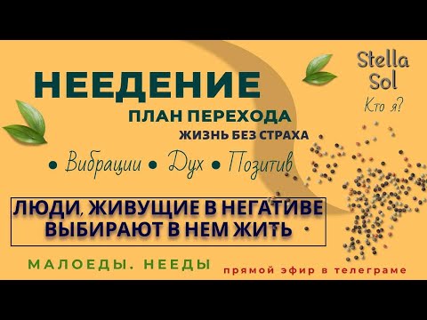 Видео: Неедение | Ответы На Вопросы [достойный эфир] #высокиевибрации #неедение #ясновидение  #установки