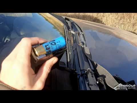 Видео: Отстрел картечи 8мм .10шт в патроне с буфером на 65 м .сайга 12 к