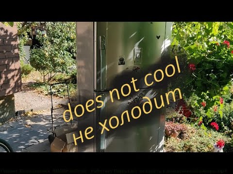 Видео: Ремонт Холодильника  SHARP Nofrost   Работает Перестает холодить в холодильной камере