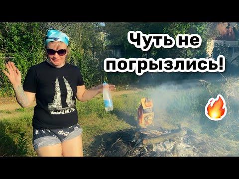 Видео: 🔥 17. ​⁠Чуть не погрызлись! @LadyMary555 командует, а я занимаюсь костром. Котик в гости пришёл.