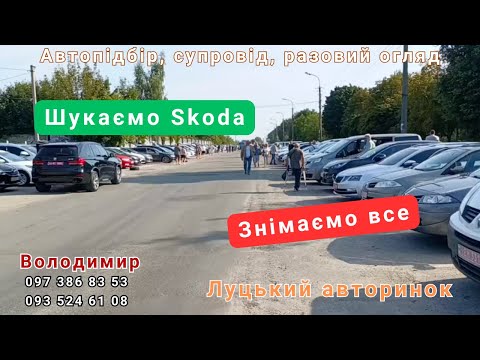 Видео: Луцький авторинок.08.08.2024.Шукаємо Шкоду.Знімаємо все.