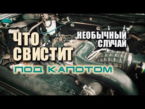 Видео: 🔸 Что свистит под капотом. Подшипник или обгонная муфта? Не факт!