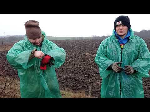 Видео: ЗИМНИЙ КОП ПО ХУТОРАМ И ПУСТЫРЯМ