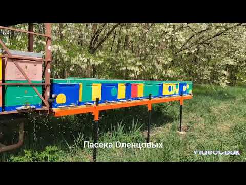 Видео: модуль для перевозки пчел