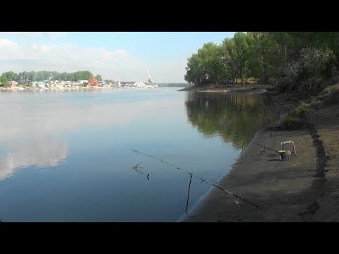 Видео: Рыбалка возле города.