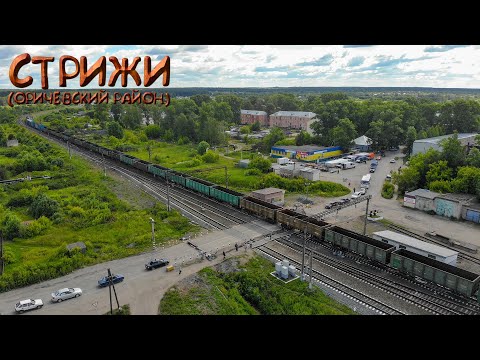 Видео: Стрижи (Прогулки по Кировской области)
