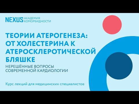 Видео: Теории атерогенеза: от холестерина к атеросклеротической бляшке
