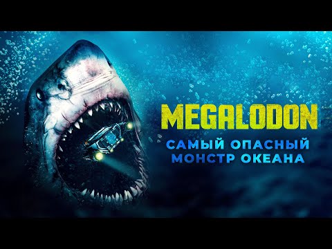 Видео: Почему Мегалодон был самым опасным существом на Земле?
