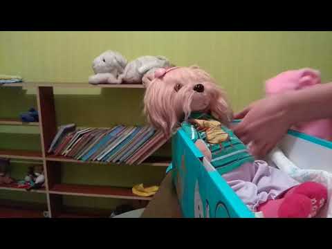 Видео: Вечер с лаки доги Мияй