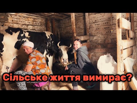 Видео: СЕЛЬСКАЯ ЖИЗНЬ НА ГРАНИЦЕ ИСЧЕЗАНИЯ? ГДЕ ДЕВАЕТСЯ ХОЗЯЙСТВО? 🐷🪿