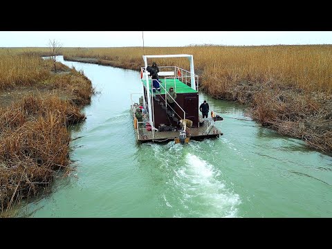 Видео: Как и на что ловить  сазана в феврале?