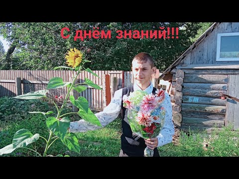 Видео: С днём знаний!!! Выкопали картошку.