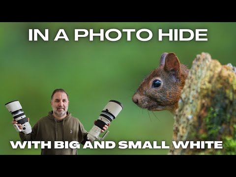 Видео: OM System 150-400 f4.5 и 50-200 f2.8 в укрытии для фотографов, где полно белок!