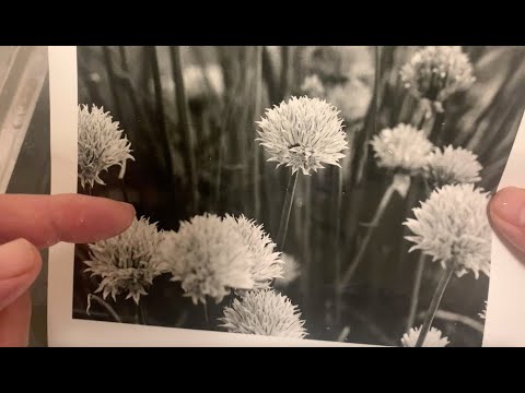 Видео: Получение наилучшего результата: Rodinal, часть 3 — Разработка стенда