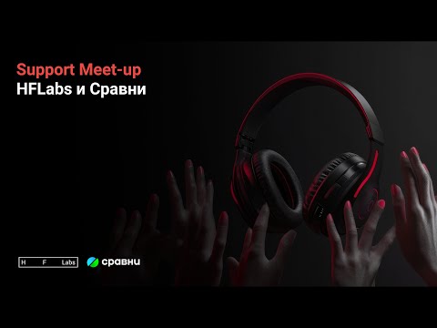 Видео: Support Meet-up от HFLabs и Сравни