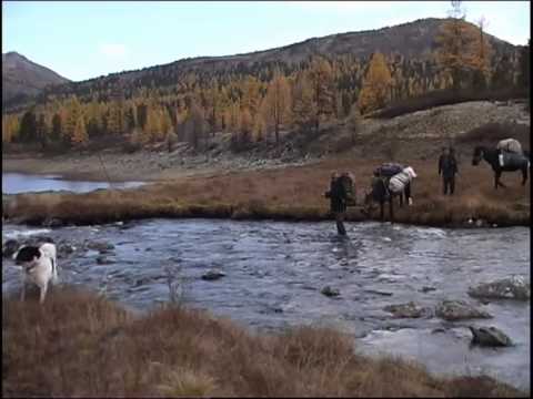 Видео: ТАЕЖНЫМИ ТРОПАМИ