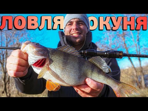 Видео: Ловля КРУПНОГО ОКУНЯ по холодной воде! Окуневый монтаж, приманки, проводки... КОНКУРС