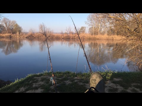 Видео: Рыбалка весной, село Незавертайловка, на речку Турунчук, район больничка. Deaf