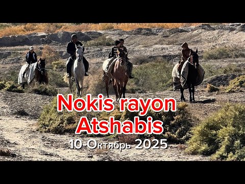 Видео: 10 октября 2025 г. Nokis rayon
