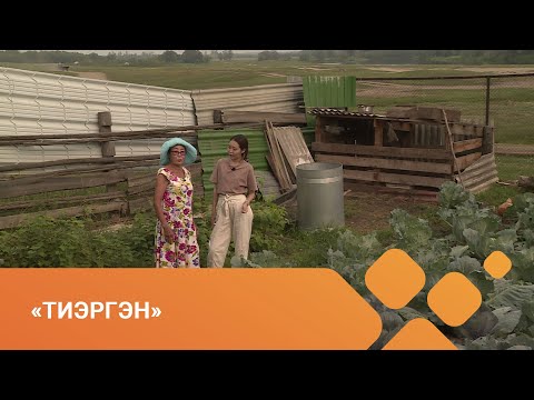 Видео: «Тиэргэн» биэриигэ: Тулагы оҕуруотчут ыала Поповтарга (04.08.21)