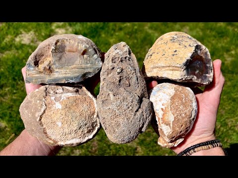 Видео: Давайте разрежем эти БОЛЬШИЕ агаты!