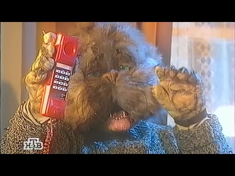 Видео: НТВ - Котовасия (2 серия?) (фрагмент) (16.10.1997) (VHS, 50fps)