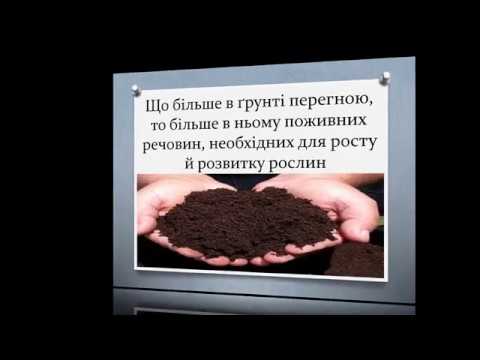 Видео: Грунти