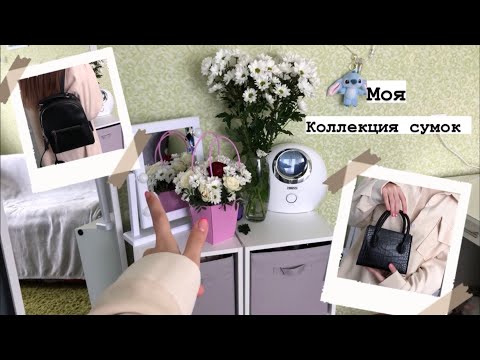 Видео: Моя коллекция из 40 сумок 🤍