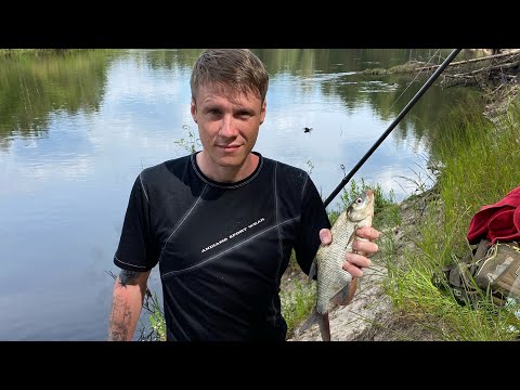 Видео: Рыбалка на Пре.Донная Удочка