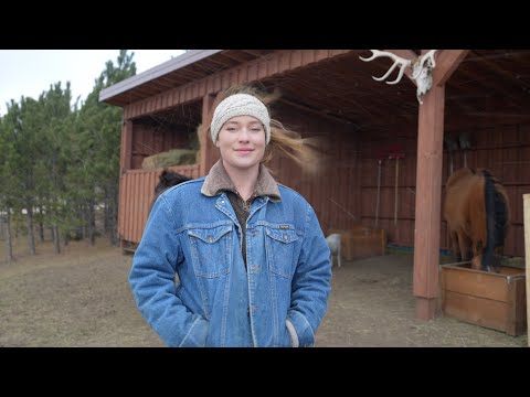 Видео: Тихие осенние дни — лошади, тренировки, ежедневные дела в лесу
