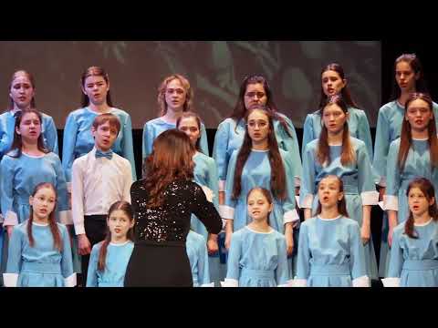 Видео: Журавли (Р. Гамзатов-Я. Френкель), Д. Васянович и хор "Камертон"