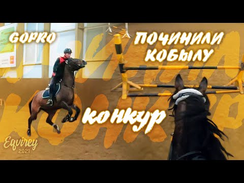 Видео: починили кобылу | КОНКУР | GoPro