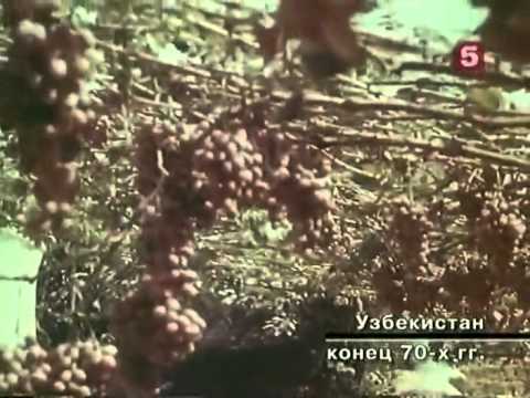 Видео: Золото для партии. Тайна Рашидовских миллионов