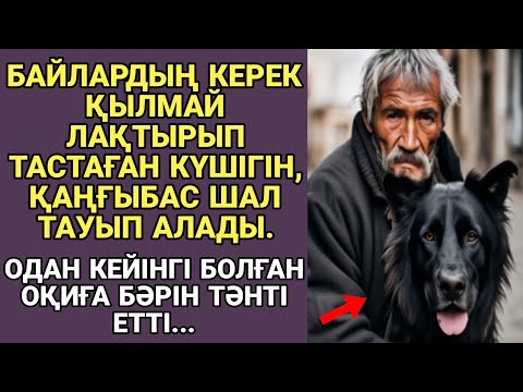Видео: АУДИО ӘҢГІМЕ. БАЙЛАРДЫҢ КЕРЕК ҚЫЛМАЙ ЛАҚТЫРЫП ТАСТАҒАН КҮШІГІН, ҚАҢҒЫБАС ШАЛ ТАУЫП АЛАДЫ...