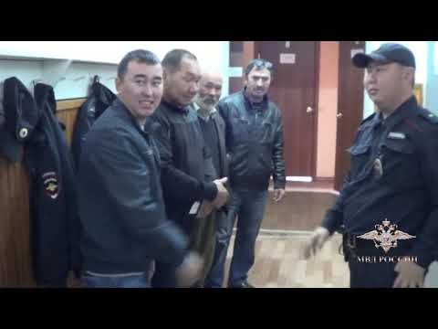 Видео: В Баяндае полиция задержала подозреваемых в краже 26 лошадей