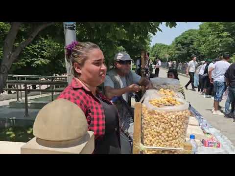 Видео: САМАРКАНДИ НАВ🤩 ТАМОМАН ДИГАР! #самаркандмировогоуровня #узбекистан #регистон #влоги