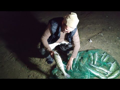 Видео: Арнасай. Золотой мост. 05.11.2022г.