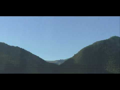 Видео: Утро в лесу. Пение птиц, шум горной реки. Tascam X8 FR. Morning forest: birdsong, mountain river.