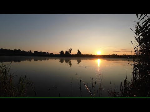 Видео: Риболовля карася методом херабуна