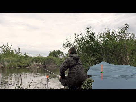 Видео: ДУШЕВНАЯ РЫБАЛКА на КАРАСЯ. Ловля на маховую удочку в мае.