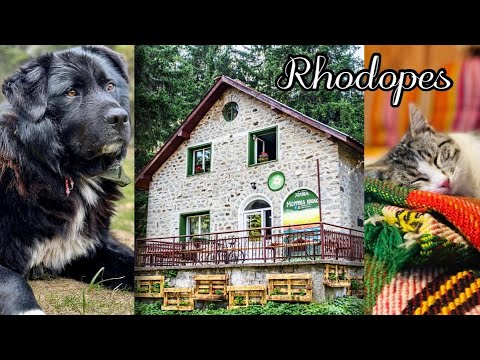 Видео: Разходка до хижа Момчил юнак | село Манастир | Хайдушки поляни и водопад Св. Дух