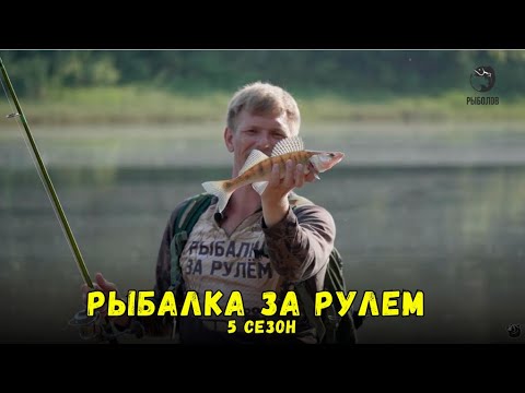 Видео: Рыбалка за рулем 5 // Выпуск 16
