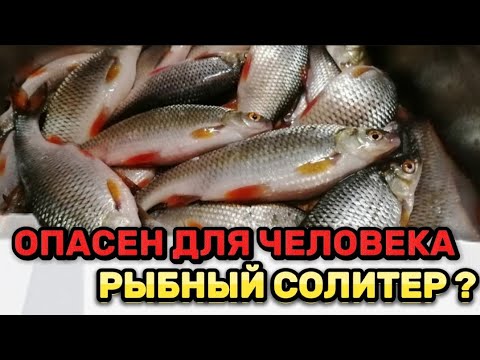Видео: СОЛИТЕР В РЫБЕ. Можно ли есть СОЛИТЕРНУЮ рыбу? Паразиты рыб