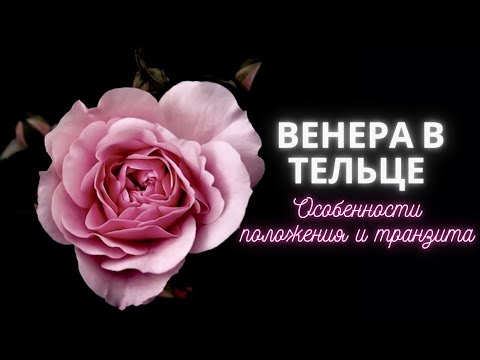 Видео: Венера в Тельце